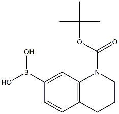 1-[(tert-Butoxy)carbonyl]-3,4-dihydro-2H-quinoline-7-yboronic acid Structure