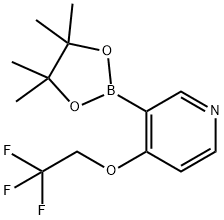 3-(4,4,5,5-tetraMethyl-1,3,2-dioxaborolan-2-yl)-4-(2,2,2-trifluoroethoxy)pyridine Structure