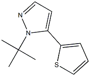 1-tert-butyl-5-(thiophen-2-yl)-1H-pyrazole Struktur