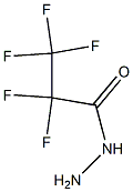 2,2,3,3,3-Pentafluoro-propionic acid hydrazide Struktur