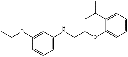 3-Ethoxy-N-[2-(2-isopropylphenoxy)ethyl]aniline 结构式