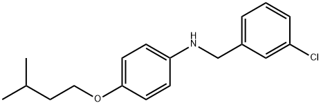 N-(3-Chlorobenzyl)-4-(isopentyloxy)aniline Structure
