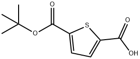 Thiophene-2,5-dicarboxylic acidmono tert-butylester Struktur