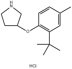 3-[2-(tert-Butyl)-4-methylphenoxy]pyrrolidinehydrochloride Struktur