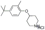 4-[4-(tert-Butyl)-2-methylphenoxy]piperidinehydrochloride Structure