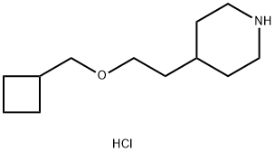 4-[2-(Cyclobutylmethoxy)ethyl]piperidinehydrochloride|