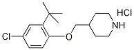 4-{[2-(tert-Butyl)-4-chlorophenoxy]-methyl}piperidine hydrochloride 化学構造式