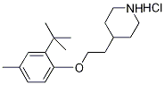 4-{2-[2-(tert-Butyl)-4-methylphenoxy]-ethyl}piperidine hydrochloride Struktur
