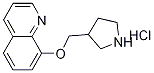 1219982-72-5 8-(3-Pyrrolidinylmethoxy)quinoline hydrochloride