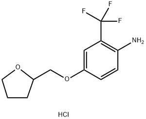 4-(TETRAHYDRO-2-FURANYLMETHOXY)-2-(TRIFLUOROMETHYL)ANILINE HYDROCHLORIDE Struktur