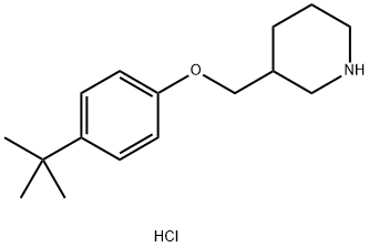 4-(tert-Butyl)phenyl 3-piperidinylmethyl etherhydrochloride Struktur