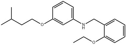N-(2-エトキシベンジル)-3-(イソペンチルオキシ)アニリン 化学構造式