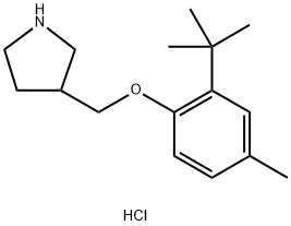 3-{[2-(tert-Butyl)-4-methylphenoxy]-methyl}pyrrolidine hydrochloride|