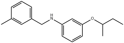 3-(sec-Butoxy)-N-(3-methylbenzyl)aniline Structure
