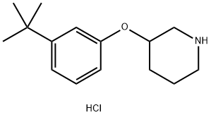 3-[3-(tert-Butyl)phenoxy]piperidine hydrochloride|