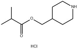4-Piperidinylmethyl 2-methylpropanoatehydrochloride,1220037-85-3,结构式
