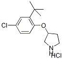 3-[2-(tert-Butyl)-4-chlorophenoxy]pyrrolidinehydrochloride Struktur