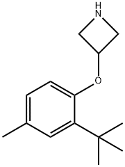 3-[2-(tert-Butyl)-4-methylphenoxy]azetidine 化学構造式