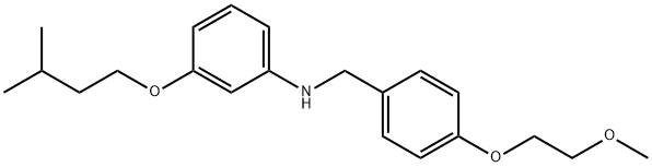 3-(Isopentyloxy)-N-[4-(2-methoxyethoxy)benzyl]-aniline Structure