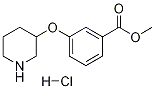 Methyl 3-(3-piperidinyloxy)benzoate hydrochloride Struktur