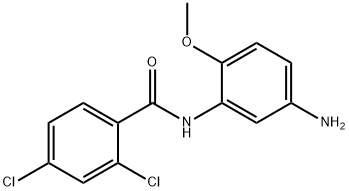 N-(5-Amino-2-methoxyphenyl)-2,4-dichlorobenzamide Structure