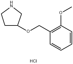 1185303-22-3 3-[(2-Methoxybenzyl)oxy]pyrrolidine hydrochloride
