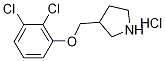 3-[(2,3-ジクロロフェノキシ)メチル]ピロリジン塩酸塩 化学構造式