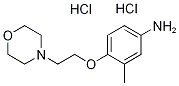 3-Methyl-4-[2-(4-morpholinyl)ethoxy]phenylaminedihydrochloride Struktur