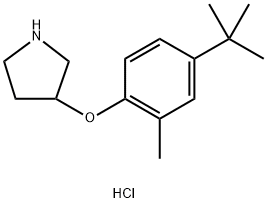 3-[4-(tert-Butyl)-2-methylphenoxy]pyrrolidinehydrochloride|