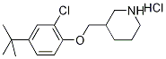3-{[4-(tert-Butyl)-2-chlorophenoxy]-methyl}piperidine hydrochloride
