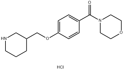 4-[4-(Piperidin-3-ylmethoxy)benzoyl]morpholine hydrochloride|4-[4-(哌啶-3-基甲氧基)苯甲酰]吗啉盐酸盐