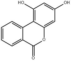 1,3-Dihydroxy-6H-benzo[c]chromen-6-one Struktur