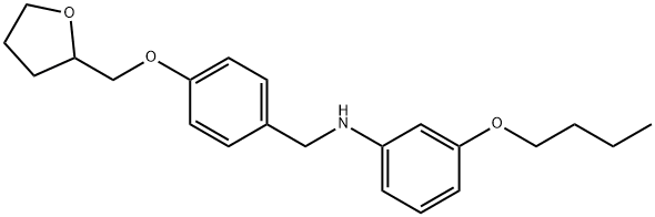 N-(3-Butoxyphenyl)-N-[4-(tetrahydro-2-furanylmethoxy)benzyl]amine Structure