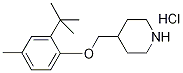 4-{[2-(tert-Butyl)-4-methylphenoxy]-methyl}piperidine hydrochloride Struktur