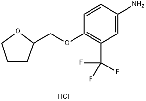 4-(TETRAHYDRO-2-FURANYLMETHOXY)-3-(TRIFLUOROMETHYL)ANILINE HYDROCHLORIDE Structure