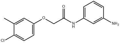 N-(3-Aminophenyl)-2-(4-chloro-3-methylphenoxy)-acetamide|N-(3-AMINOPHENYL)-2-(4-CHLORO-3-METHYLPHENOXY)-ACETAMIDE