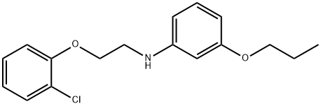 N-[2-(2-クロロフェノキシ)エチル]-3-プロポキシアニリン 化学構造式