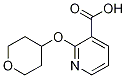 2-(Tetrahydro-2H-pyran-4-yloxy)nicotinic  acid Structure