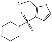 4-((2-(氯甲基)噻吩-3-基)磺酰基)吗啉, 1030431-21-0, 结构式