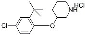3-[2-(tert-Butyl)-4-chlorophenoxy]piperidinehydrochloride Struktur