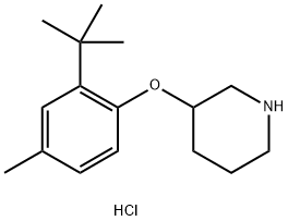 3-[2-(tert-Butyl)-4-methylphenoxy]piperidinehydrochloride Structure