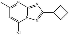7-Chloro-2-cyclobutyl-5-methyl-[1,2,4]triazolo[1,5-a]pyrimidine Struktur