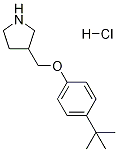 4-(TERT-BUTYL)PHENYL 3-PYRROLIDINYLMETHYL ETHERHYDROCHLORIDE 结构式
