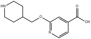 2-(piperidin-4-ylmethoxy)isonicotinic acid Structure