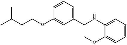N-[3-(Isopentyloxy)benzyl]-2-methoxyaniline 化学構造式