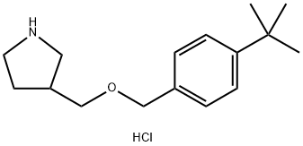4-(tert-Butyl)benzyl 3-pyrrolidinylmethyl etherhydrochloride Structure
