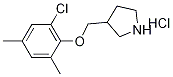 3-[(2-Chloro-4,6-dimethylphenoxy)methyl]-pyrrolidine hydrochloride Struktur