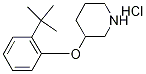 3-[2-(tert-Butyl)phenoxy]piperidine hydrochloride Struktur