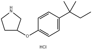 4-(tert-Pentyl)phenyl 3-pyrrolidinyl etherhydrochloride Structure