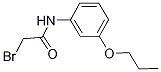 1138442-32-6 2-BROMO-N-(3-PROPOXYPHENYL)ACETAMIDE